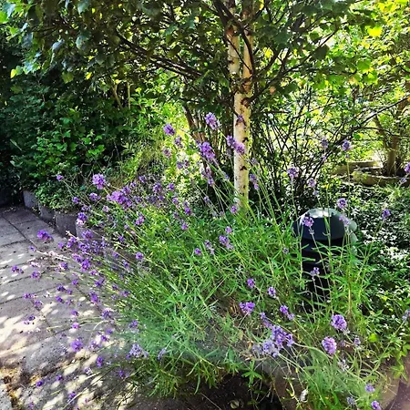 Σπίτι διακοπών Irenes Anneks *